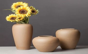 陶罐铁罐的读后感6篇