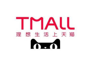 天猫店工作总结参考6篇