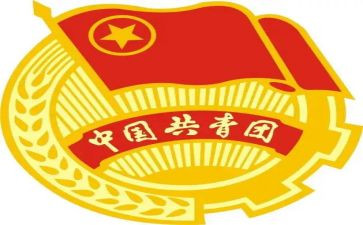2024年团干部工作总结精选6篇