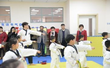 试用团工作总结报告5篇
