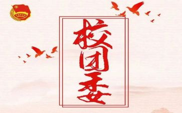 在团委工作的心得体会5篇
