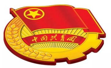 团章的心得6篇