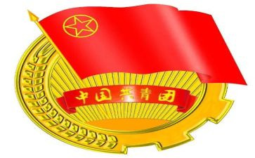 团支书的期末工作总结7篇