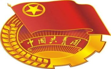 团组织部述职报告8篇