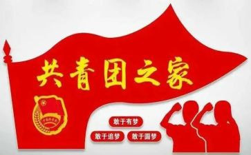 基层团组织建设心得体会5篇