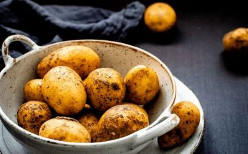 炒土豆丝作文600字优质7篇