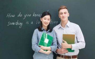 户外教案及反思5篇