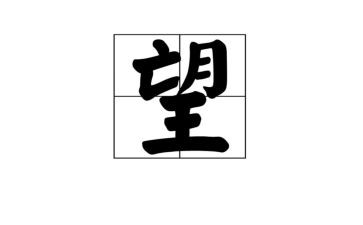 希望作文500字优秀5篇