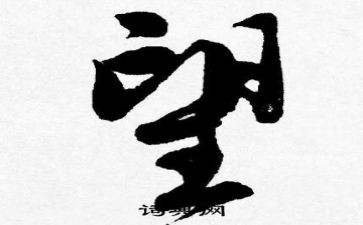 关于写新年愿望的作文通用6篇