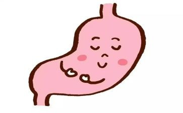关于胃的健康教案优质8篇