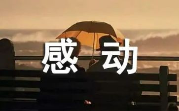 2024年十大感动中国事迹推荐7篇
