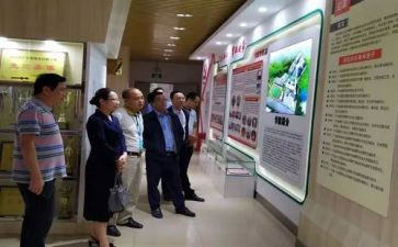 作文培训的心得体会精选6篇