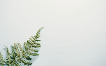 我也可以作文8篇