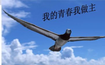 我的作文我做主作文推荐5篇