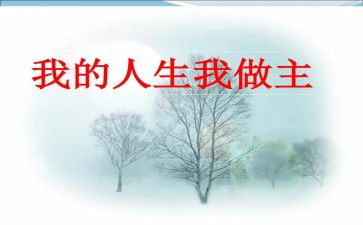 我的作文我做主作文优秀6篇