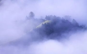 雾的读后感300字最新6篇