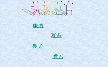 五官的作文7篇