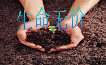 友情是无价的作文通用7篇