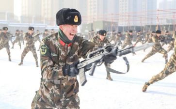 武警的工作总结8篇