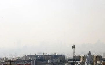 关于污染的调查报告模板5篇