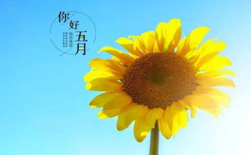小班的五月份的工作总结5篇