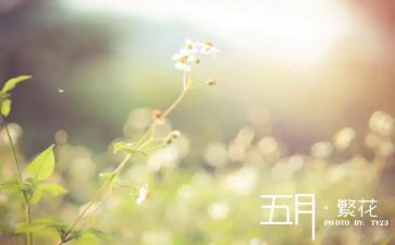 红五月的心得体会8篇