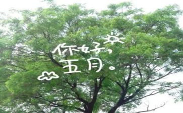 大班5五月份工作总结6篇