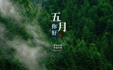 2024五月份工作总结5篇