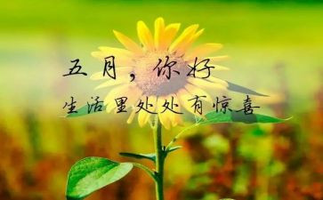幼儿园五月份的工作计划精选5篇