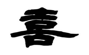 我喜欢的动物是猫作文参考7篇