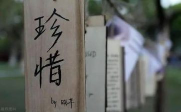 珍惜现有的作文通用8篇