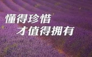 《珍惜》作文600字最新8篇