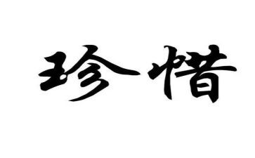 珍惜现在作文6篇