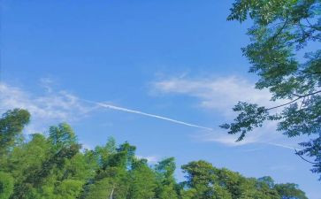 夏天来了优秀作文最新8篇