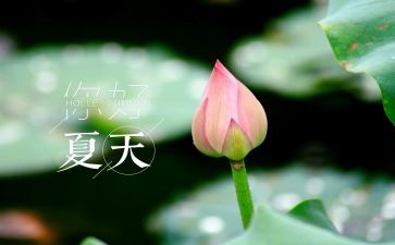《夏洛的网》读后感400字_读后感6篇