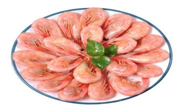 儿童画虾教案5篇