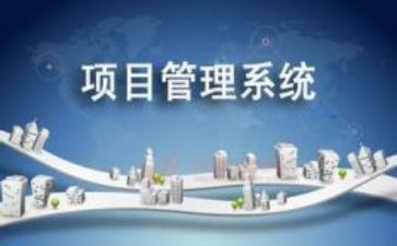 带项目工作总结8篇