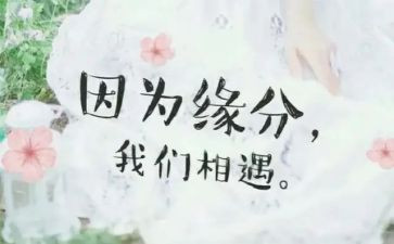 我与相遇作文优秀5篇