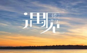 《相遇》作文800字精选8篇