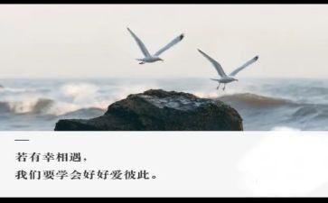 我与相遇作文6篇