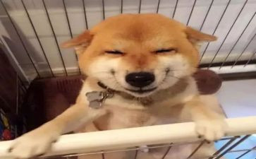 《微笑》优秀作文精选8篇
