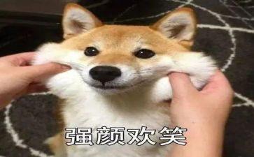 我的笑作文400字推荐5篇