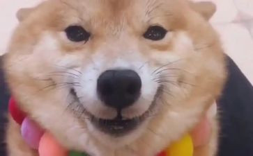 微笑与服务的演讲稿8篇