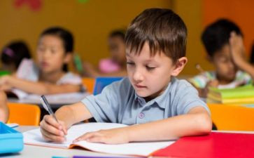 幼儿园小班教师个人工作计划优质8篇