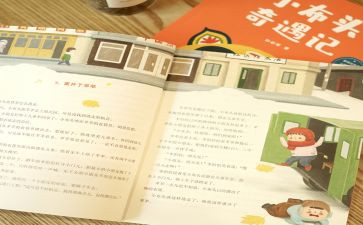 小布头的梦读后感7篇