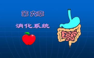 科消化科工作计划8篇