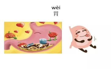 消化护士工作总结5篇