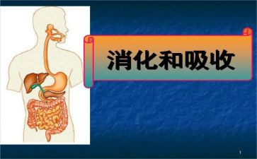 消化科护士个人总结6篇
