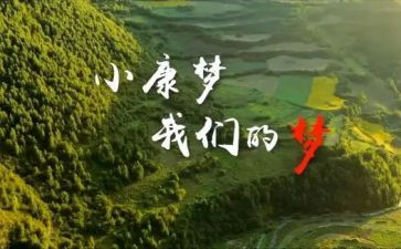 小康办工作总结6篇