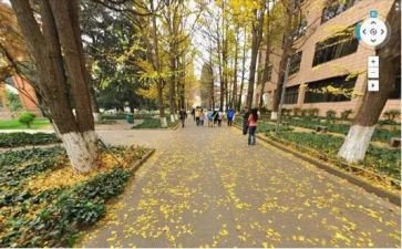校内实训心得体会5篇